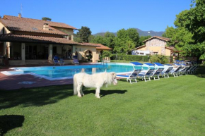 Podere San Paolo San Giuliano Terme